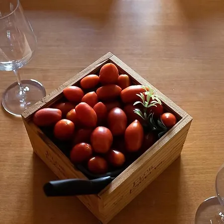 Txakolin Apartmán *