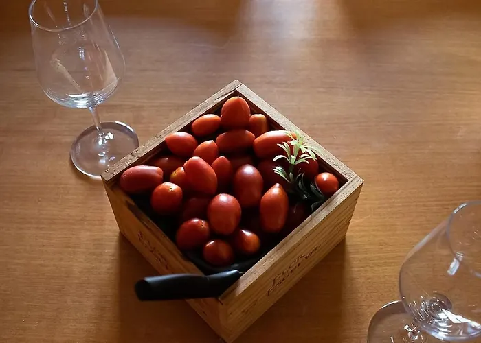 Txakolin Lejlighed *